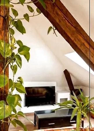 Exceptional Loft Near Center Colmar