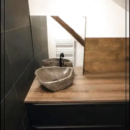 Exceptional Loft Near Center Lejlighed *