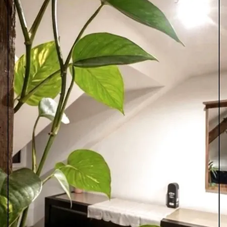 Exceptional Loft Near Center Lejlighed